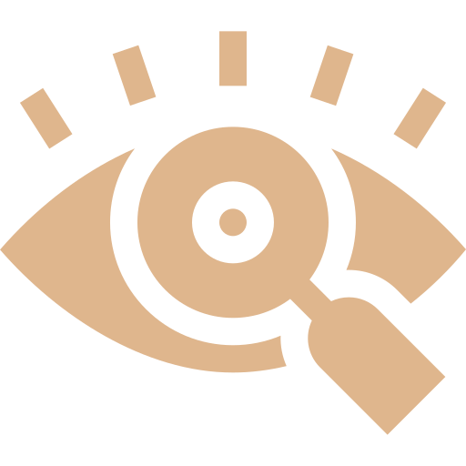 Vision Icon